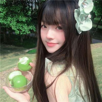 龟女士的奥德赛